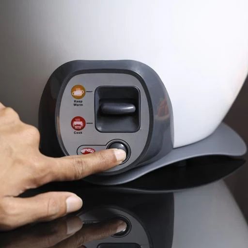Food Warmer Rice Cooker Combo